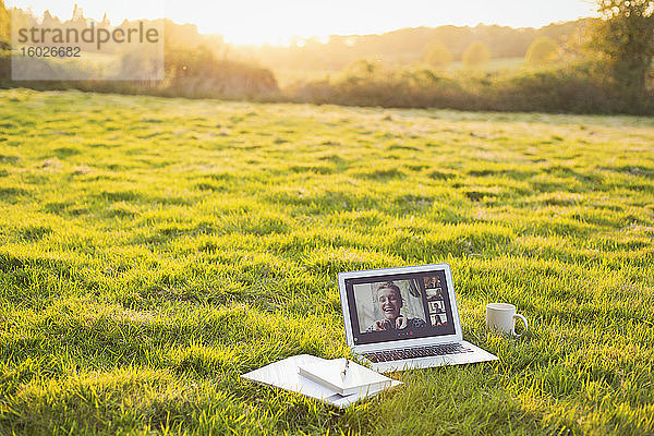 Video-Chat mit Freunden auf Laptop-Bildschirm im sonnigen Gras