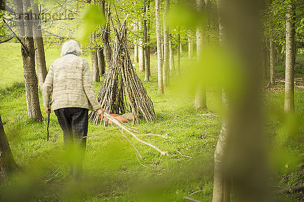 Ältere Frau  die ein Ast-Tipi im Wald herstellt