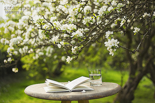 Buch und Wasser auf dem Tisch unter dem Blumenbaum im Garten