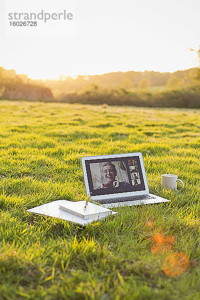 Video-Chat unter Kollegen auf Laptop-Bildschirm im sonnigen Gras