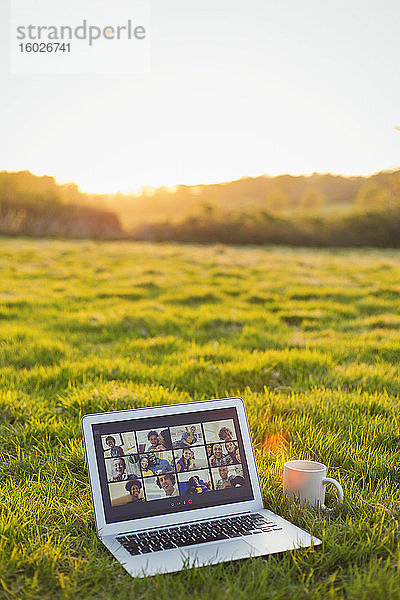 Video-Chat am Laptop im sonnigen Gras