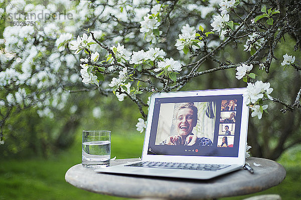 Video-Chat mit Freunden auf Laptop-Bildschirm unter blühendem Baum im Garten