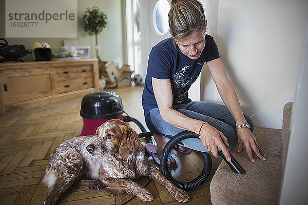 Frau mit Hund staubsaugt Teppich auf der Treppe