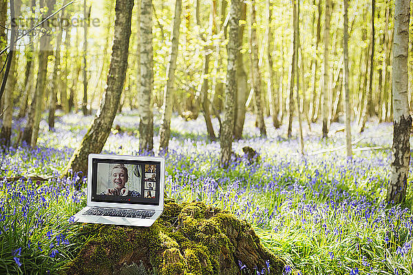 Video-Chat mit Freunden am Laptop-Bildschirm in idyllischen Wäldern
