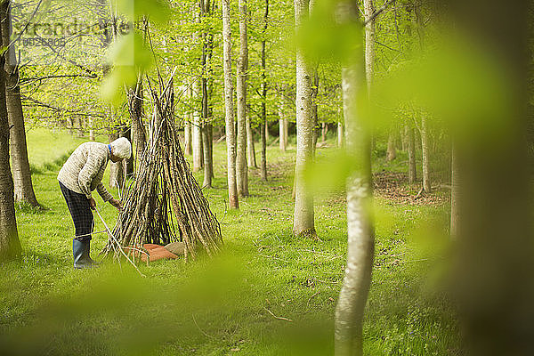 Ältere Frau  die ein Ast-Tipi im Wald herstellt