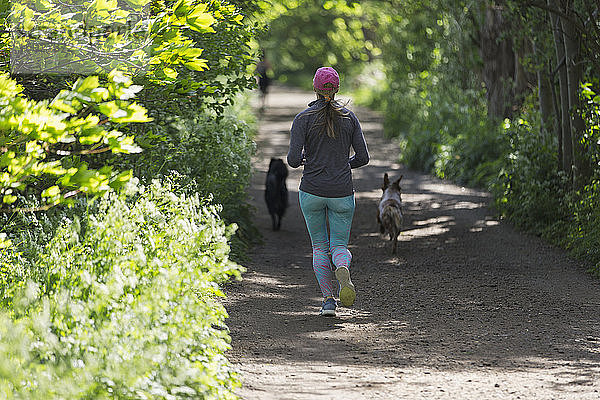 Frau joggt auf sonniger Strecke mit Hunden