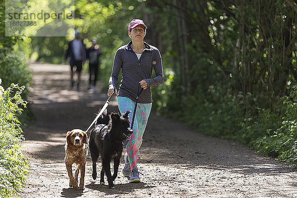 Frau mit Hunden geht auf sonniger Spur im Park