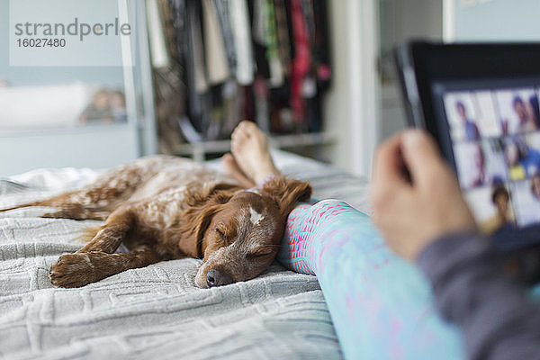 Hund schläft auf Bett neben Frau mit digitalem Tablet