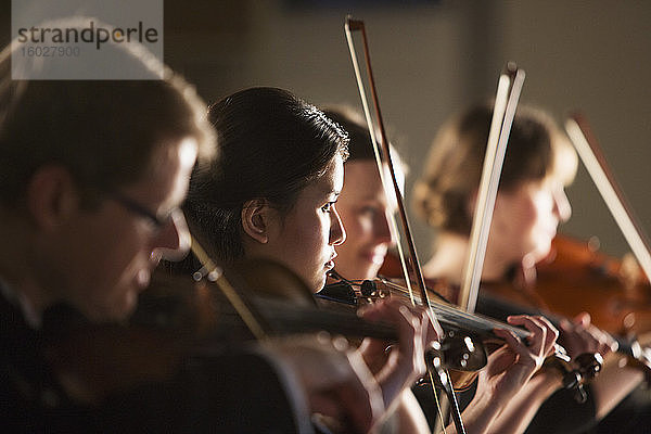 Violinisten beim Auftritt