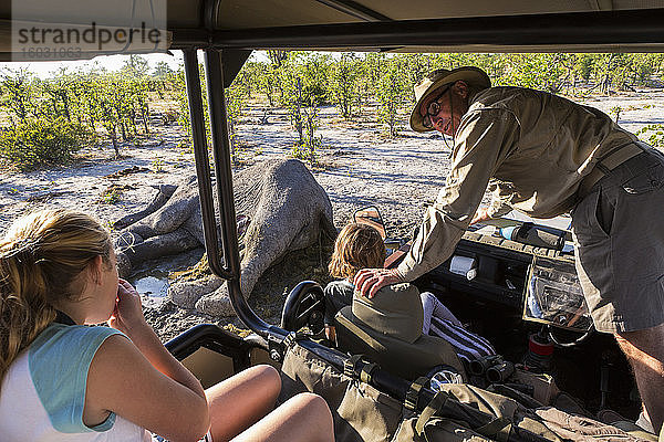 Ein Jeep mit zwei Kindern und einem Reiseleiter  der sich hinauslehnt und den Kadaver eines toten Elefanten betrachtet.
