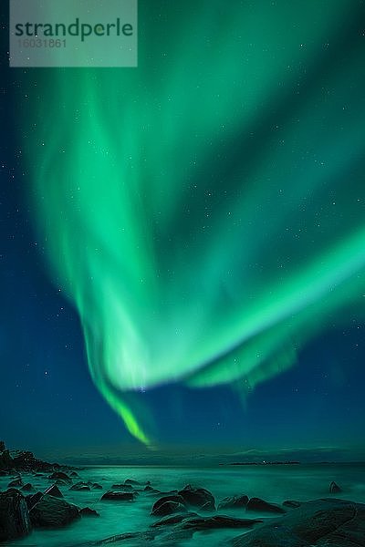 Nordlichter (Aurora borealis) über dem Atlantik  Utakleiv  Lofoten  Norwegen  Europa