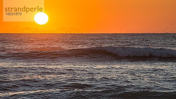 Brandung im Sonnenuntergang am Golf von Mexiko  Longboat Key  Florida  USA  Nordamerika