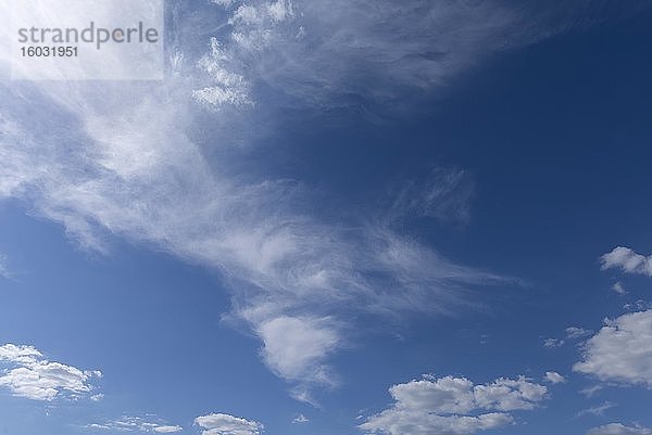 Federwolke (Cirrus)  Bayern  Deutschland  Europa