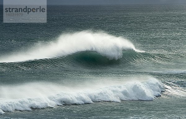 Starker Wellengang  brechende Wellen auf dem Meer  Sandfly Bay  Dunedin  Otago  Otago Peninsula  Südinsel  Neuseeland  Ozeanien
