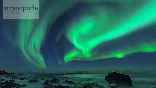 Nordlichter (Aurora borealis)  Utakleiv  Lofoten  Norwegen  Europa