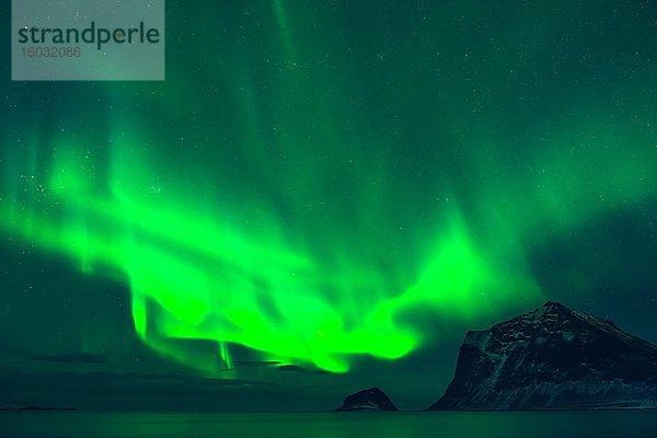 Nordlichter (Aurora borealis)  Haukland Beach  Lofoten  Norwegen  Europa
