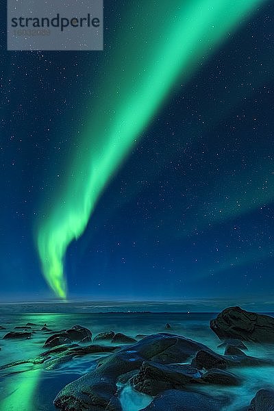 Nordlichter (Aurora borealis) über dem Atlantik  Utakleiv  Lofoten  Norwegen  Europa