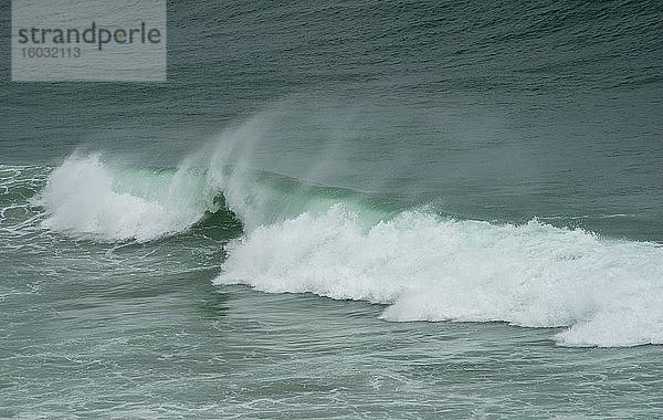 Starker Wellengang  brechende Wellen auf dem Meer  Sandfly Bay  Dunedin  Otago  Otago Peninsula  Südinsel  Neuseeland  Ozeanien