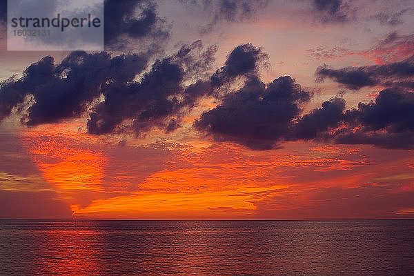 Dramatischer Sonnenuntergang am Golf von Mexiko  Longboat Key  Florida  USA  Nordamerika