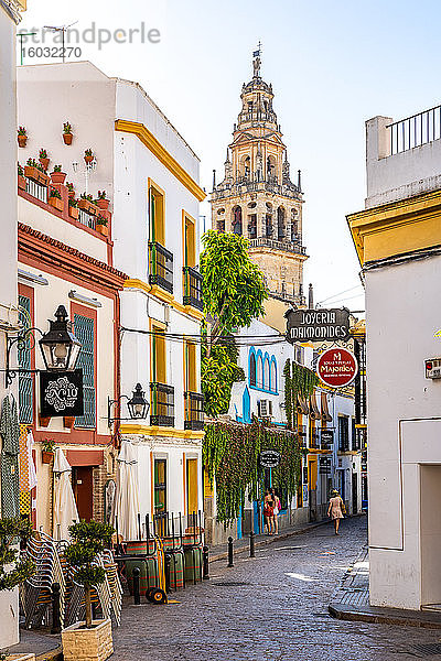 Der Glockenturm der Kathedrale der Moschee von Córdoba durch eine typisch andalusische Straße gesehen  Córdoba  Andalusien  Spanien  Europa