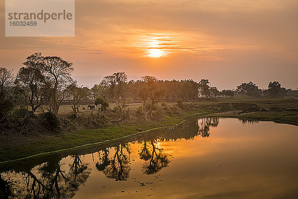 Sonnenuntergang über dem Brahmaputra-Fluss  Kaziranga-Nationalpark  UNESCO-Weltkulturerbe  Assam  Indien  Asien