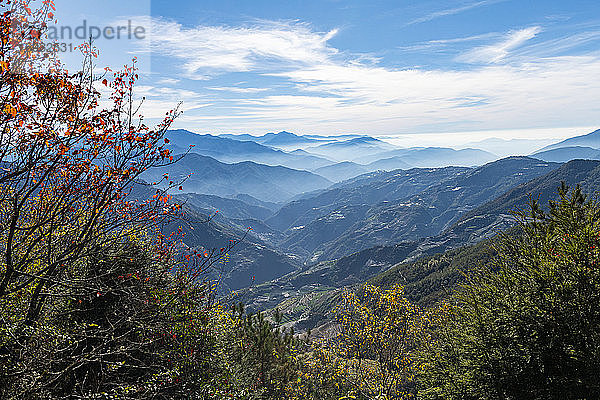 Nebulöses malerisches Hochland im Bezirk Nantou  Taiwan  Asien