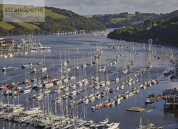 Eine herrliche Aussicht entlang der Flussmündung des Dart  Blick vom Dorf Kingswear ins Landesinnere  in der Nähe von Dartmouth  Devon  England  Grossbritannien  Europa