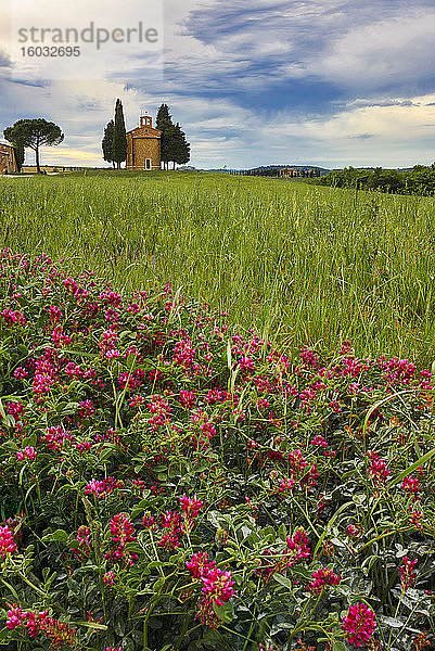 Vitaleta-Kapelle im Frühling  Val d'Orcia  UNESCO-Weltkulturerbe  Toskana  Italien  Europa
