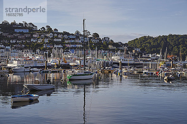 Eine Schar von Booten hat im Hafen an der Mündung des Dart in Dartmouth an der Südküste von Devon festgemacht  England  Grossbritannien  Europa