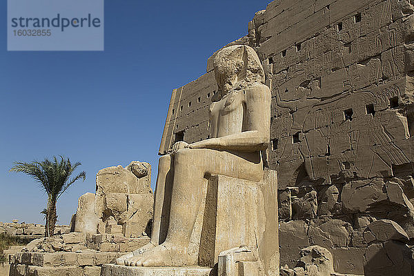 Koloss von Tuthmosis III.  Achter Karnak-Tempelkomplex  UNESCO-Weltkulturerbe  Luxor  Theben  Ägypten  Nordafrika  Afrika