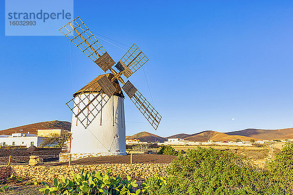 Tiscamanita  traditionelle Windmühle  Fuerteventura  Kanarische Inseln  Spanien  Atlantik  Europa