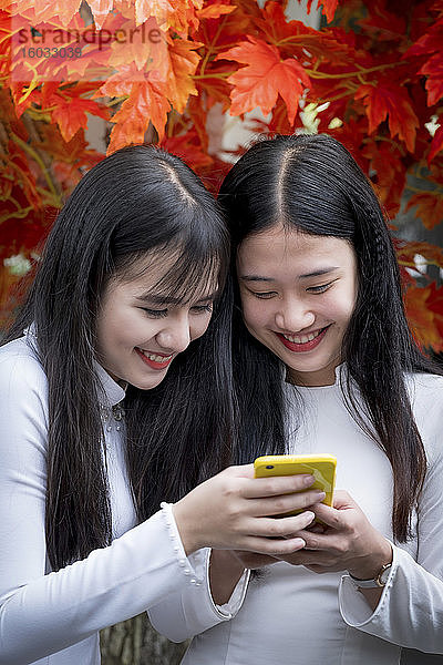 Zwei vietnamesische Freunde tragen traditionelle Ao Dai-Kleider und teilen sich ein Mobiltelefon  Hue  Vietnam  Indochina  Südostasien  Asien
