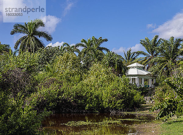 Botanischer Park Königin Elisabeth II.  North Side  Grand Cayman  Kaimaninseln  Karibik  Mittelamerika
