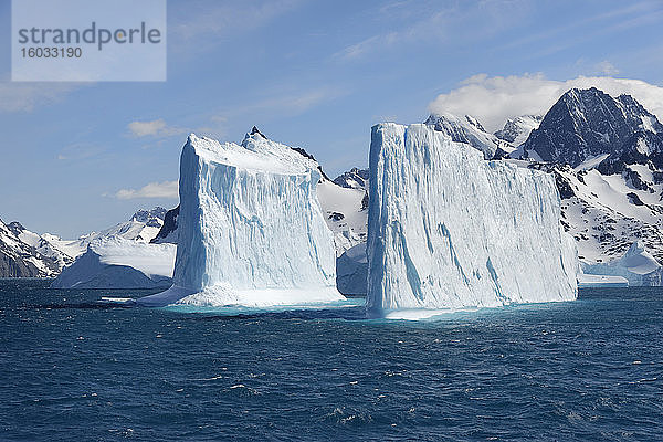 Drygalski-Fjord  schwimmende Eisberge  Südgeorgien  Südgeorgien und die Sandwich-Inseln  Antarktis  Polargebiete