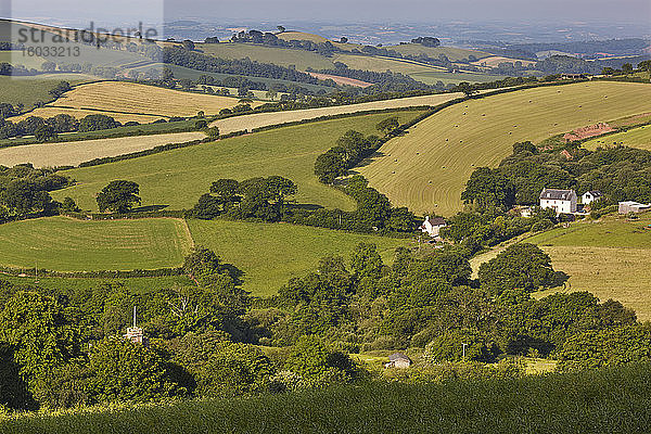 Landwirtschaftliche Landschaft in Mid-Devon im Frühsommer  vom prähistorischen Schloss Cadbury aus gesehen  in der Nähe von Tiverton  Devon  England  Vereinigtes Königreich  Europa