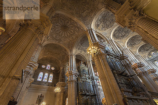 Inneres der Kathedrale von Málaga (Catedral de la Encarnacion de Málaga)  Málaga  Andalusien  Spanien  Europa