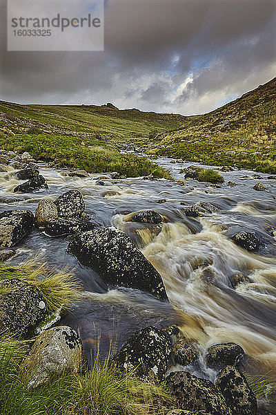 Ein Moorfluss rauscht durch ein Tal  auf dem Weg vom Moor zum Meer  der River Tavy  im Dartmoor-Nationalpark  Devon  England  Vereinigtes Königreich  Europa