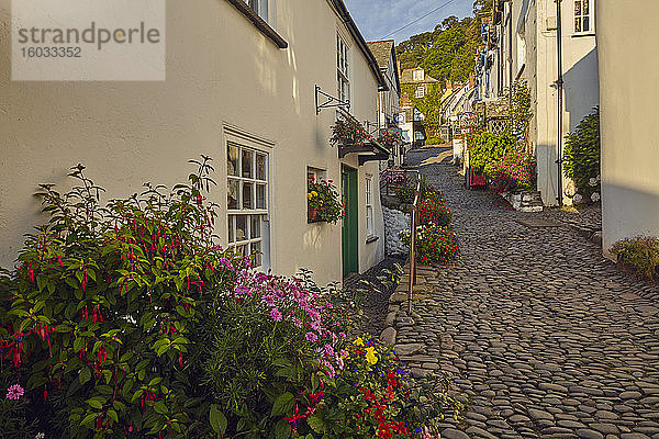 Steile Straßen und klassische Cottages in einem ikonischen Küstendorf  Clovelly  an der Nordküste Devons  Devon  England  Vereinigtes Königreich  Europa