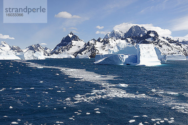 Drygalski-Fjord  schwimmende Eisberge  Südgeorgien  Südgeorgien und die Sandwich-Inseln  Antarktis  Polargebiete