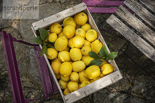 Hochwinkel-Nahaufnahme einer Holzkiste mit frisch gepflückten Zitronen.