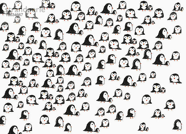 Illustration Pinguin-Muster auf weißem Hintergrund