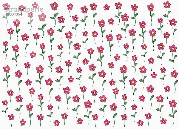 Rosa Blumenmuster auf weißem Hintergrund