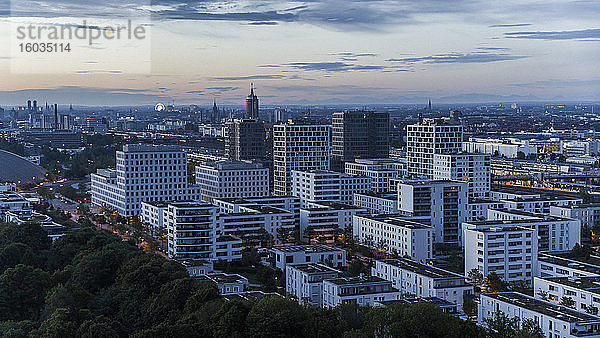 Münchner Stadtbild und Hirschgarten in der Abenddämmerung  Bayern  Deutschland