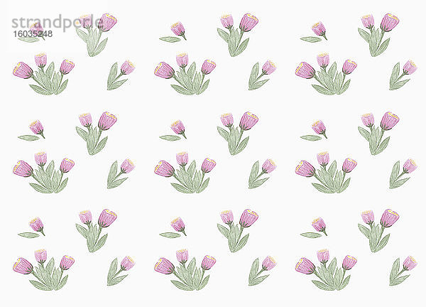Violettes Blumenmuster auf weißem Hintergrund