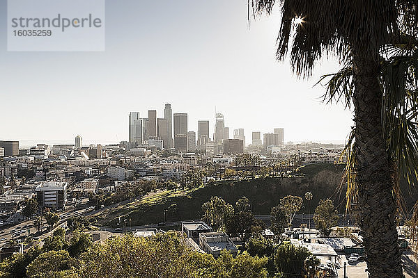 Sonniges Stadtbild  Los Angeles  Kalifornien  USA