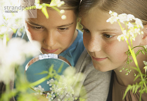 Nahaufnahme neugieriger Mädchen mit Lupe  die Blumen untersuchen