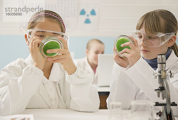 Schülerinnen der Junior High School mit Petrischalen im Wissenschaftslabor