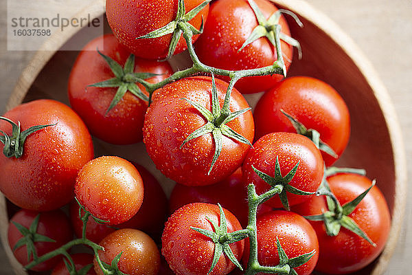 Frische Tomaten in Holzschale