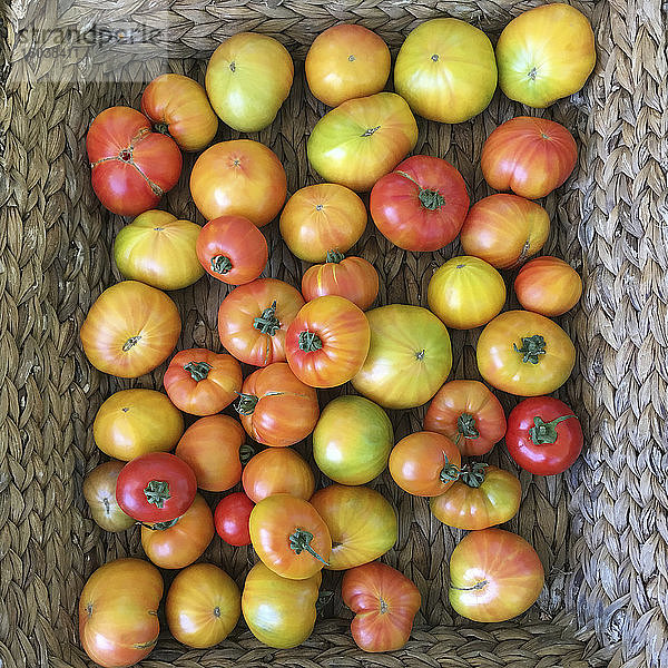 Heirloom Tomaten in einem Korb