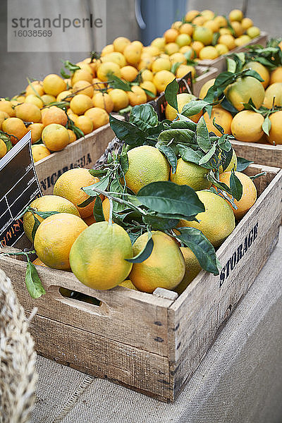 Bio-Orangen auf dem Bauernmarkt